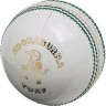Cricket Ball (White)