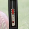 Cricket Bat/Ball Framed